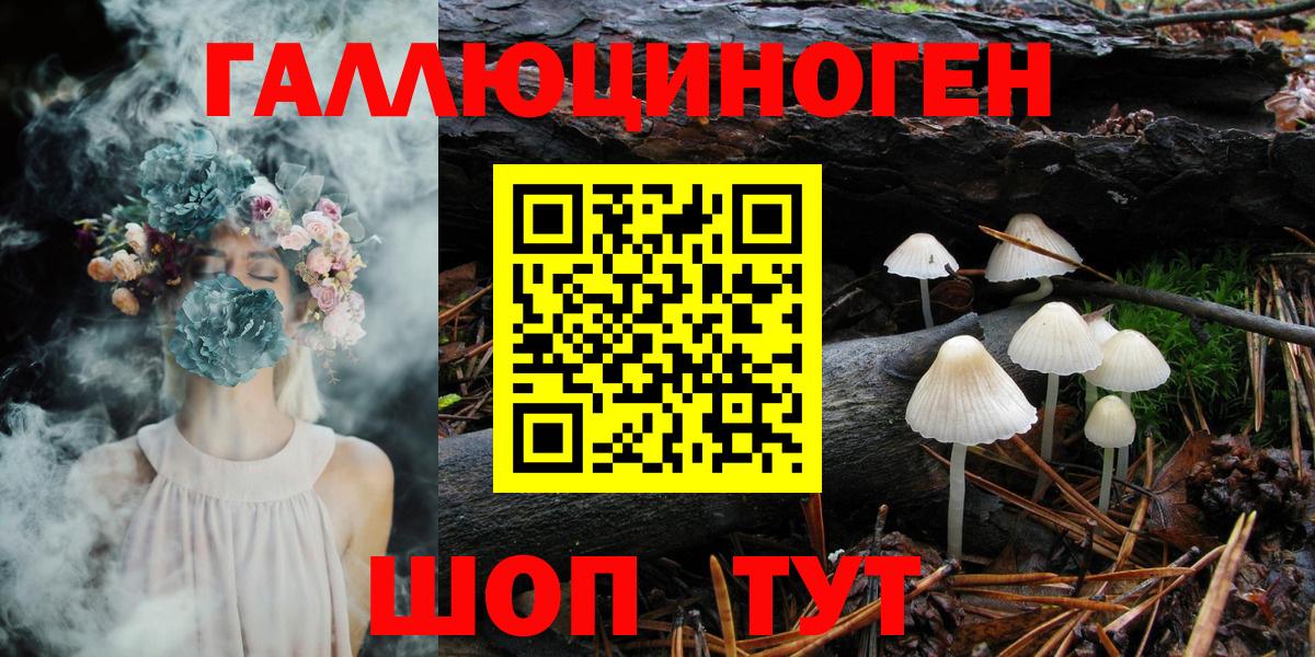 Псилоцибиновые грибы GOLDEN TEACHER  Вход с VPN  Мурманск 