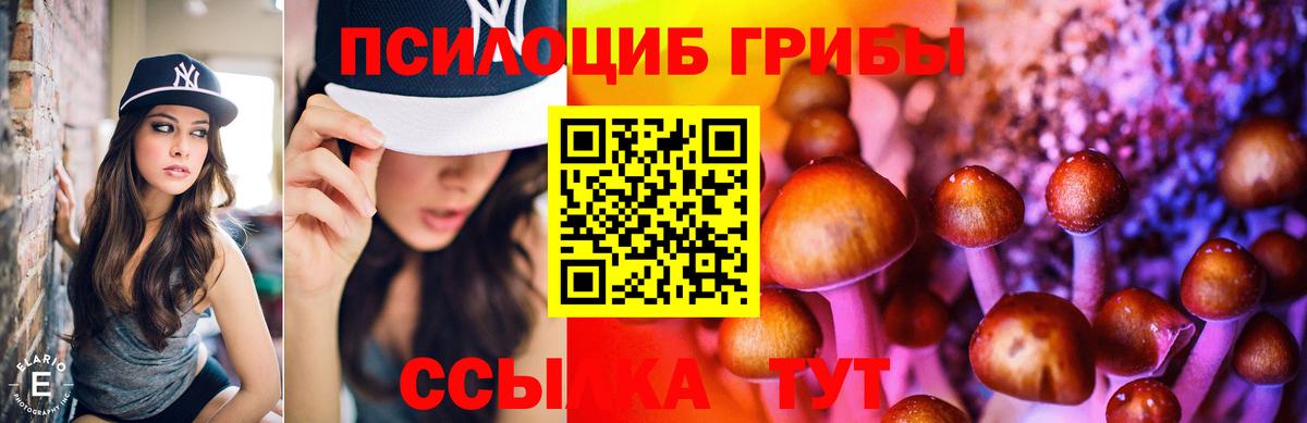 Галлюциногенные грибы ЛСД Мурманск